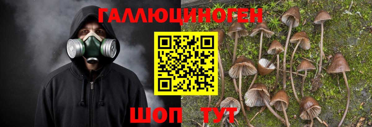 Галлюциногенные грибы мухоморы  Галлюциногенные грибы мицелий  Медногорск  Вход с VPN 