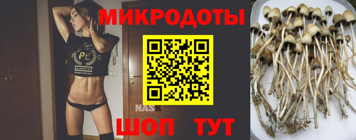 Псилоцибиновые грибы ЛСД Медногорск